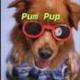 Pum Pup logo