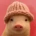 pig wif hat logo
