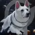 Grok's Dog logo
