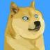 Sui Doge logo
