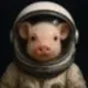 moonpig logo