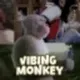 VIBING MONKEY logo