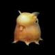 dumby logo