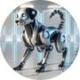 AI DOGS ON SUI logo