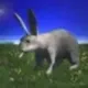 RabbitEnjoyingKetamineTakeoff logo