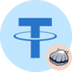 sSBUSDT logo