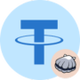 sSBUSDT logo