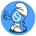 THE SUIRFS logo
