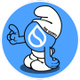 THE SUIRFS logo