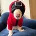 Squid Dog Sui logo