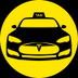 Tesla Robotaxi logo