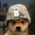 dogwifwar logo