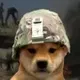 dogwifwar logo