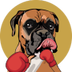 SuiBoxer Coin logo