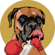 SuiBoxer Coin logo
