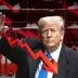 Trump Put logo