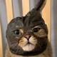 Tia Mask Cat logo