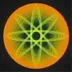 LoomSync logo