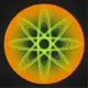 LoomSync logo
