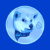 NEIRO OF SUI logo