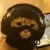 catwifmask logo