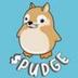 PUDGY DOGE SUI logo
