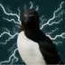 AURA BIRD logo