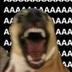 AAADOG logo