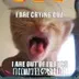 LOLCATS logo