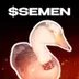 The Most Viral Goose On TikTok logo