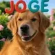 JOGE logo