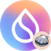 sVSUI logo