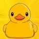ducky logo