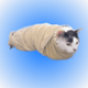 Towel cat logo