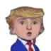 Barron Trump logo
