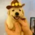 Pnutdog Printer logo