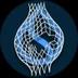 wrapped sui logo