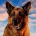 Rex Dog Token logo