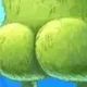 Touch Gr(ass) logo