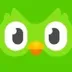 Duolingo Owl logo