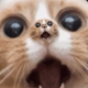 infinite cats logo