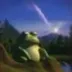 The Wise Frog logo