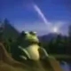 The Wise Frog logo