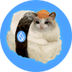 Suishicat logo