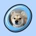 Suzu logo