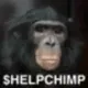 HELP CHIMP (LIVE PUMP) logo