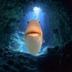 Staring Fish logo