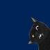 PowerShell Cat logo