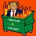 Trump & Dump logo