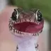 GECKO logo